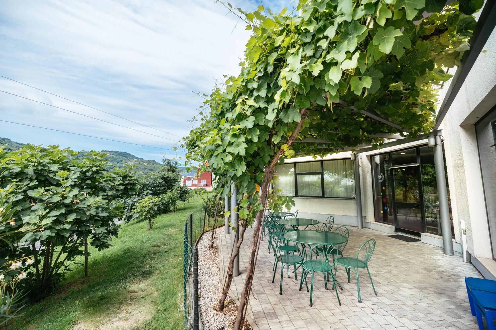 Prenocisca Prisoje Hostel Κόπερ Εξωτερικό φωτογραφία